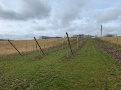 Land in Crealys® business park